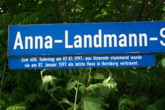 5 225 ANNA LANDMANN - Hornburg (D) 23.6.2012